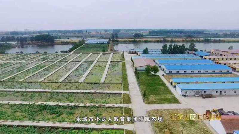 如何选购满意的食堂承包服务?一文告诉你